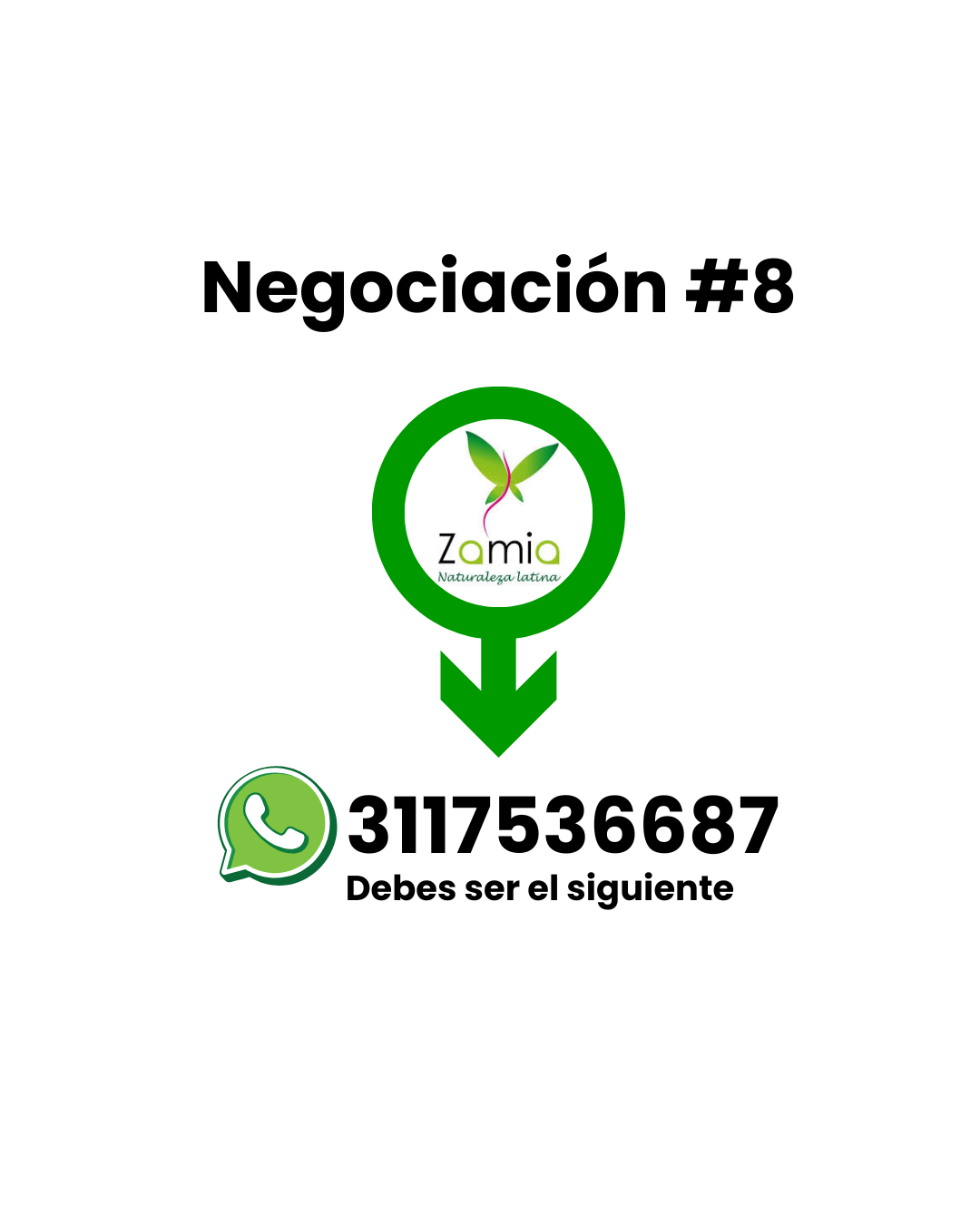 Negociación Zamia 8